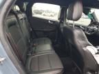 2023 Ford Escape st Line