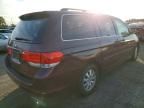 2009 Honda Odyssey exl