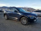 2024 Mazda Cx-5 Preferred