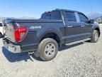 2025 Ford F150 XLT