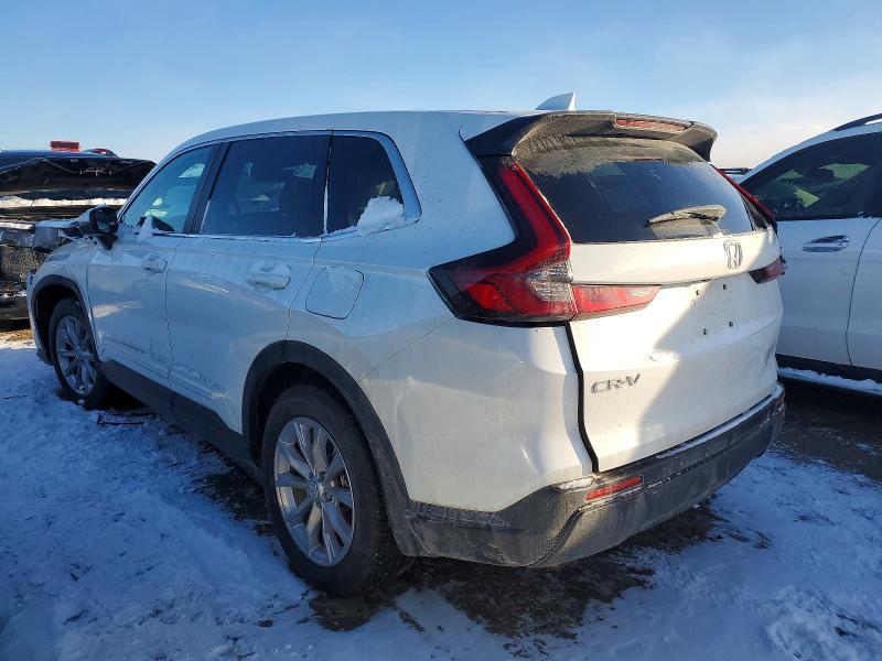 2025 Honda Cr-v exl