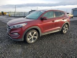 Hyundai salvage cars for sale: 2016 Hyundai Tucson Limited