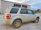 2008 Ford Escape Limited