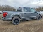 2025 Ford F150 stx