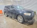 2008 Toyota Highlander Hybrid