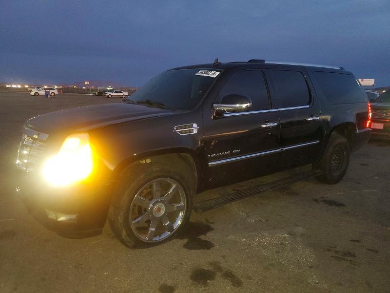 2013 Cadillac Escalade esv Luxury