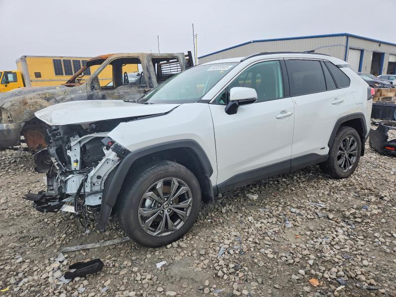 2025 Toyota Rav4 xle Premium