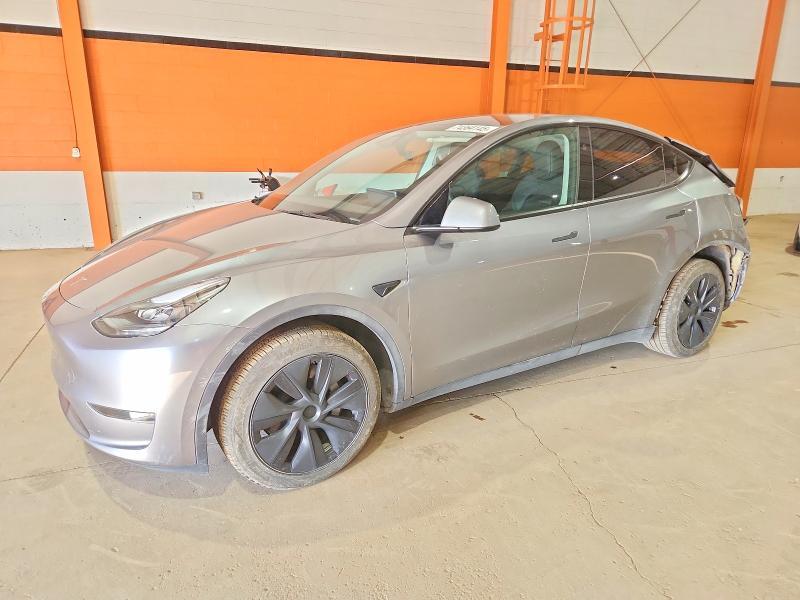 2025 Tesla Model y