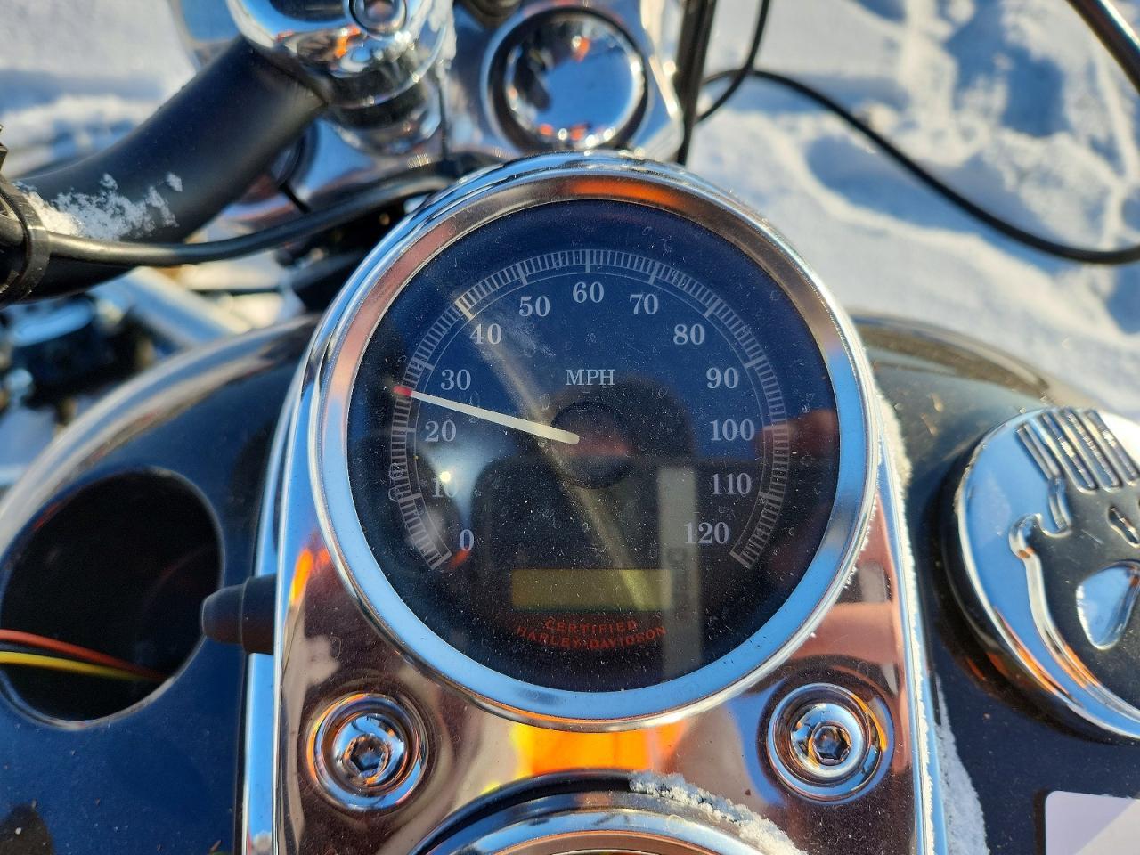 2004 Harley-Davidson Fxdli