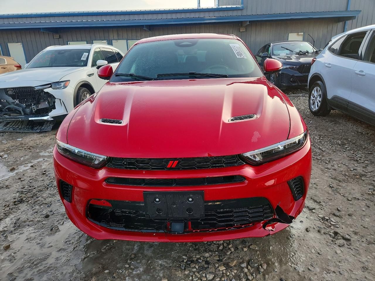 2024 Dodge Hornet R/T