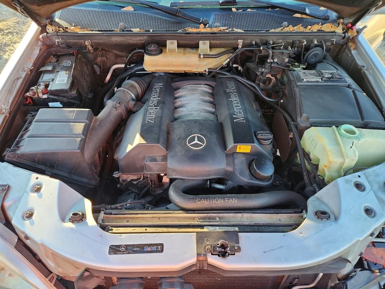 2003 Mercedes-Benz Ml 500