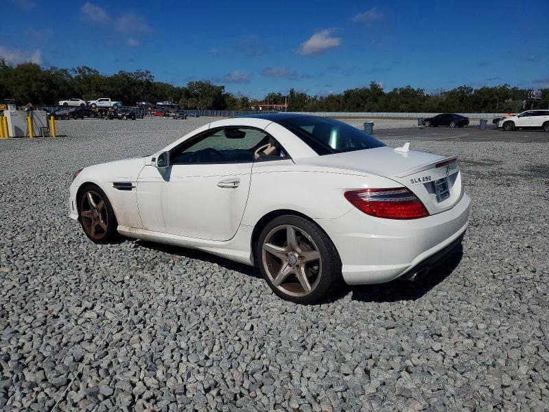 2014 Mercedes-Benz Slk 250