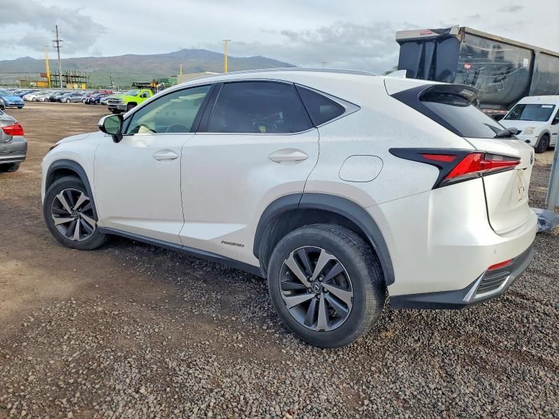 2019 Lexus Nx 300h