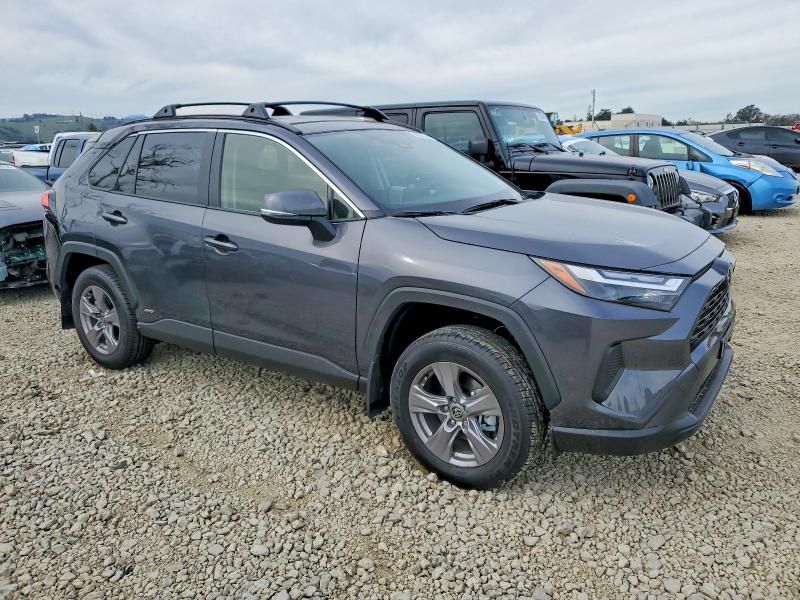 2025 Toyota Rav4 xle