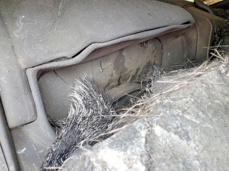 2023 Dodge Ram 1500 big Horn/lone Star