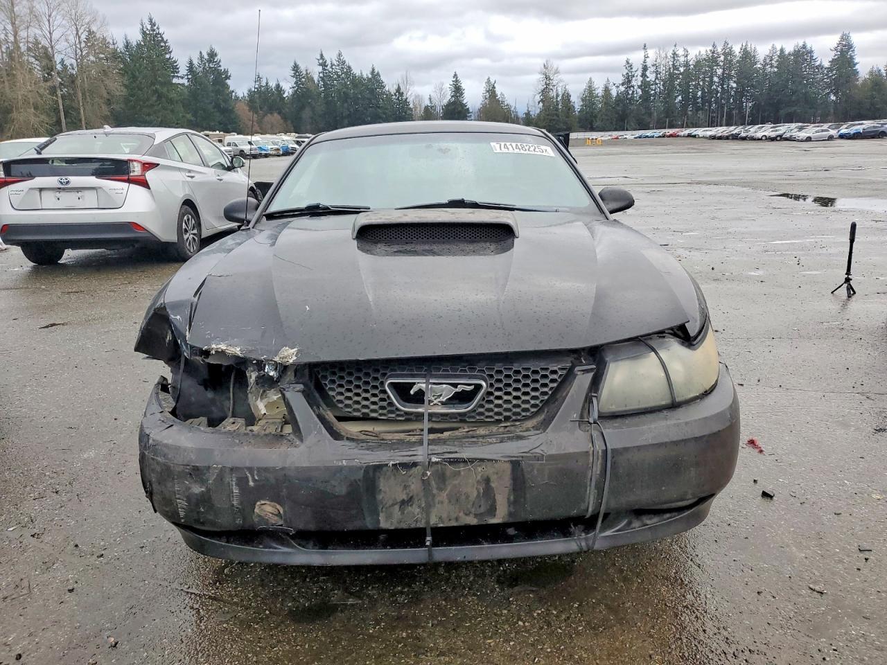 2001 Ford Mustang gt