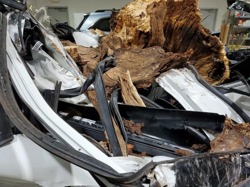 2020 Honda Passport Elite