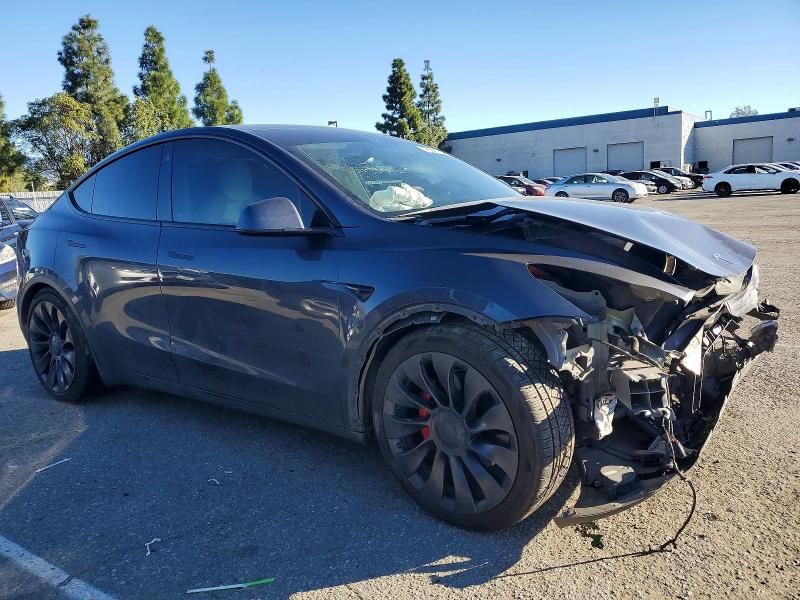 2022 Tesla Model y