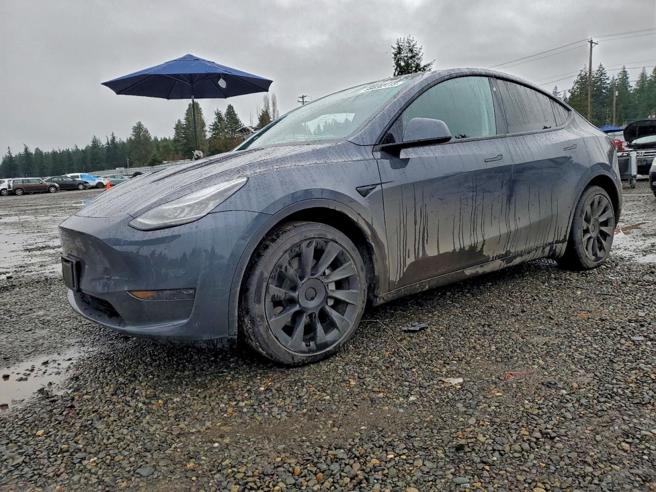 2020 Tesla Model y