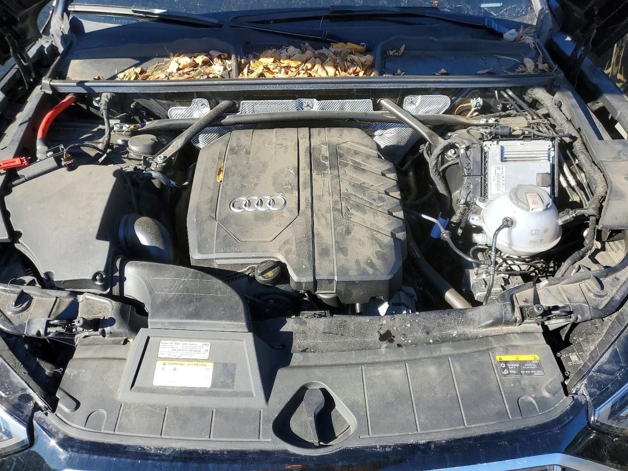 2023 Audi Q5 Premium 40