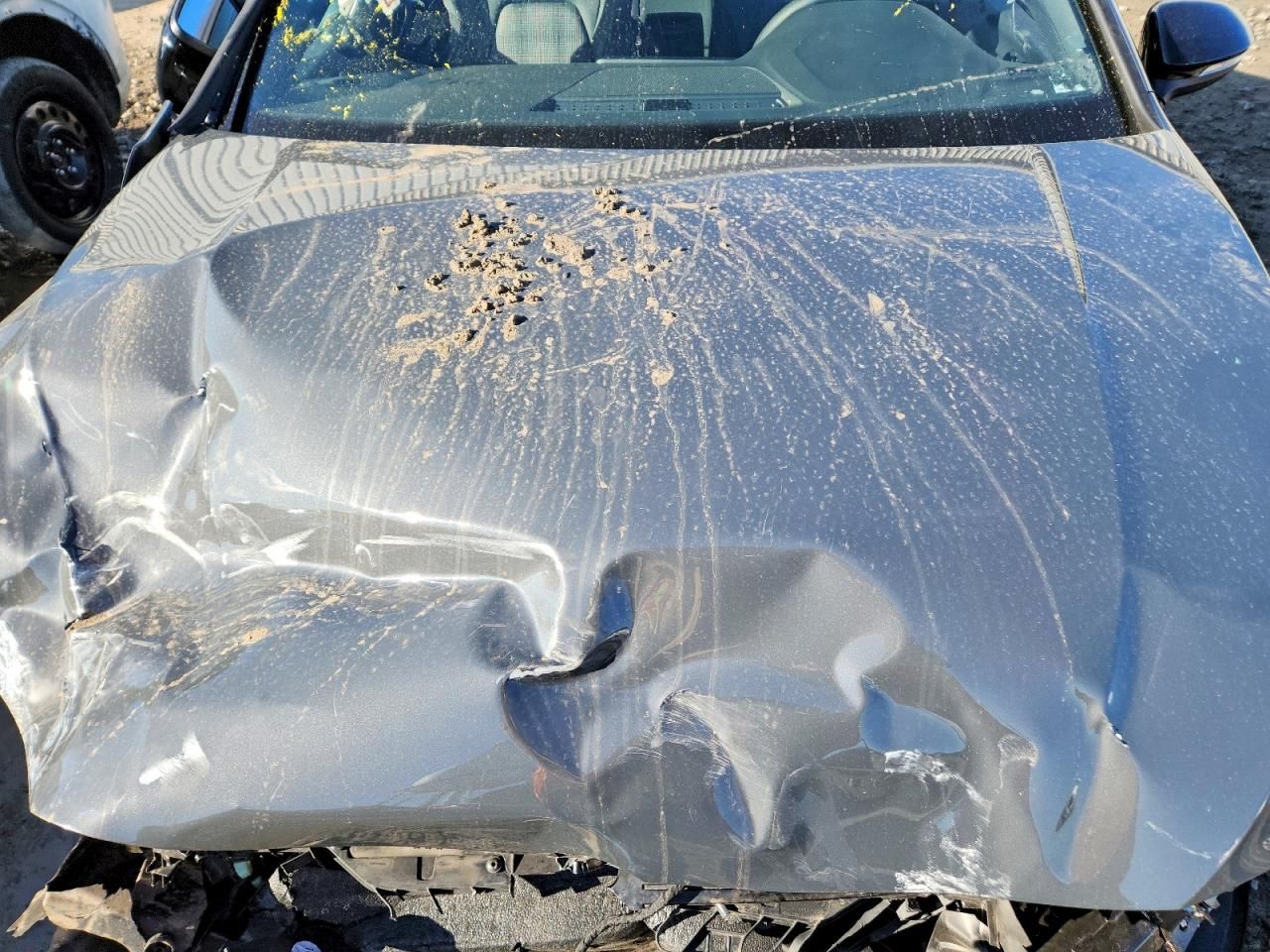 2024 Volkswagen Gti s