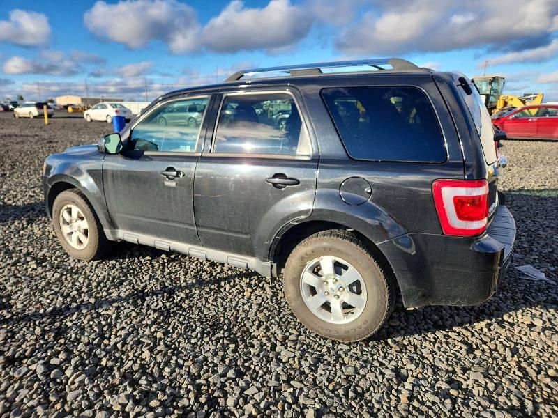 2011 Ford Escape Limited