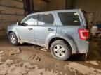 2010 Ford Escape xls