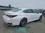 2025 Lexus Es 300h Base