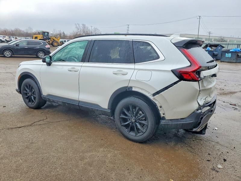 2024 Honda Cr-v Sport