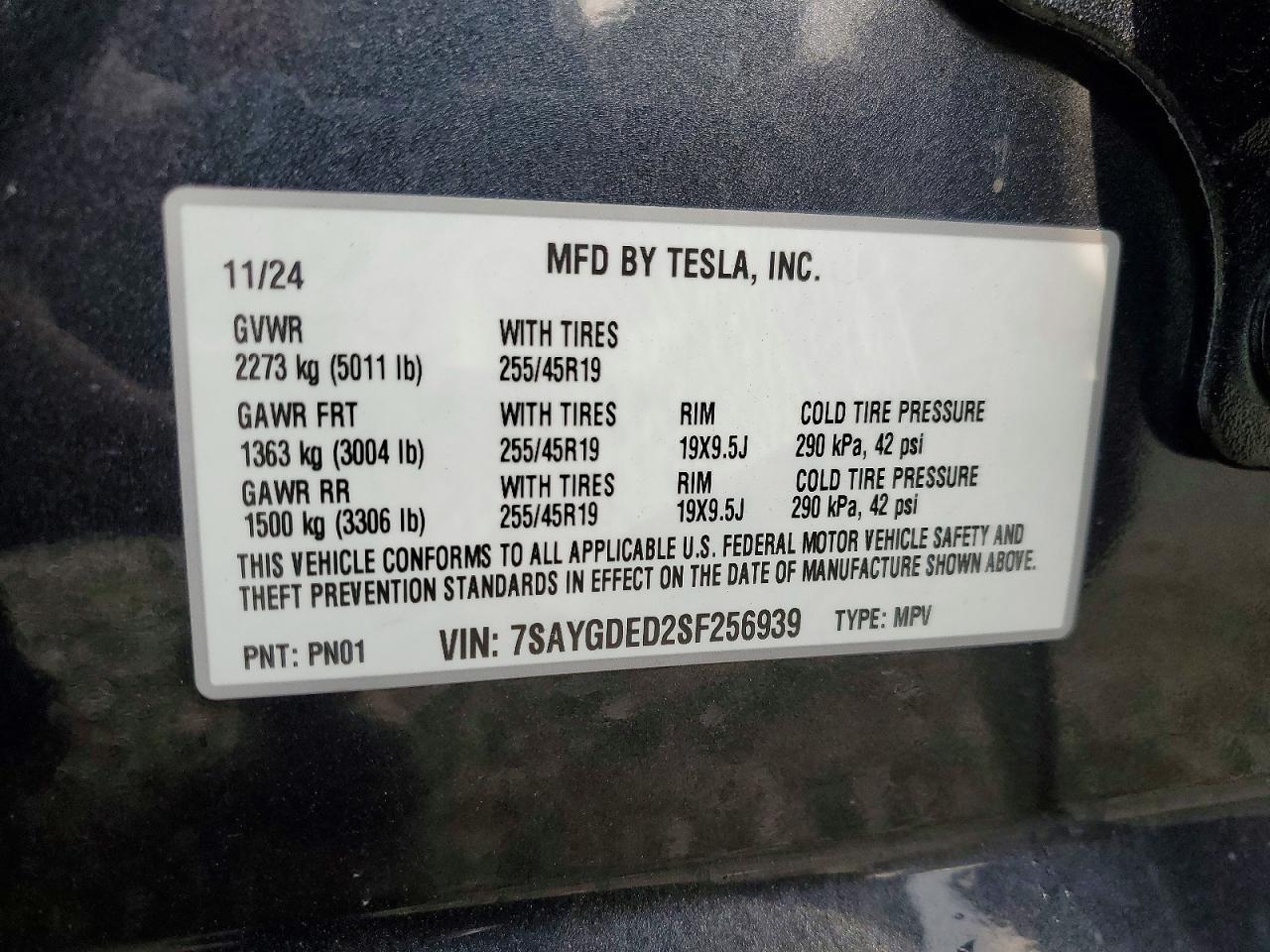 2025 Tesla Model y