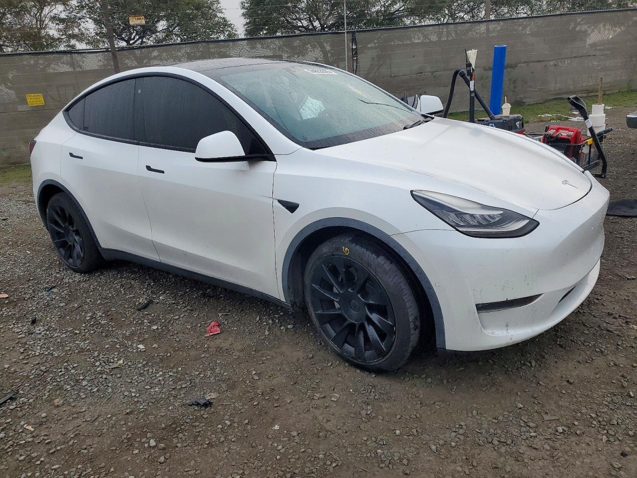 2020 Tesla Model y