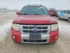 2010 Ford Escape Limited