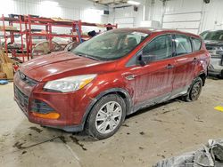 Salvage cars for sale from Copart Ham Lake, MN: 2014 Ford Escape s