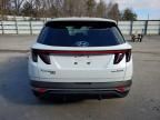 2023 Hyundai Tucson Blue