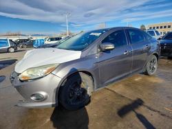 Ford Focus salvage cars for sale: 2013 Ford Focus se