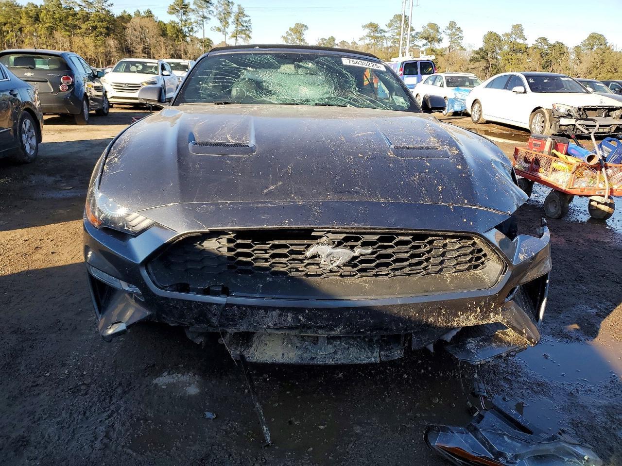 2019 Ford Mustang