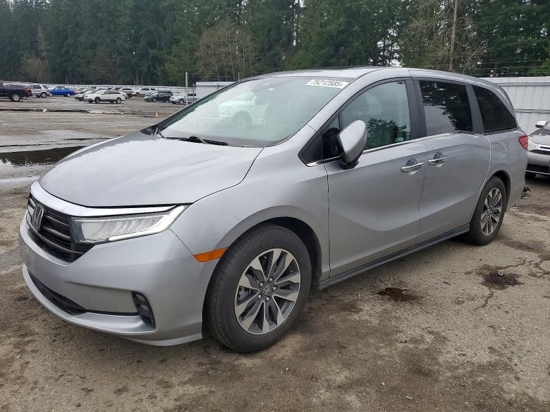 2024 Honda Odyssey exl