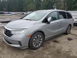 Honda salvage cars for sale: 2024 Honda Odyssey exl