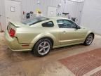 2005 Ford Mustang gt