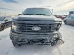 2024 Ford F150 xlt