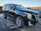 2017 Cadillac Escalade Platinum