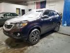 2011 KIA Sorento ex