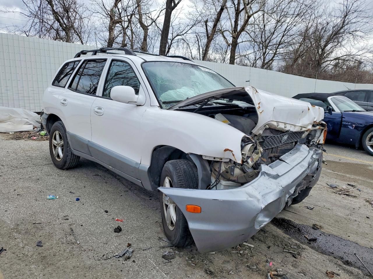 2004 Hyundai Santa fe gls