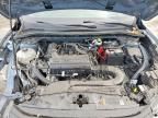 2024 Ford Escape st Line
