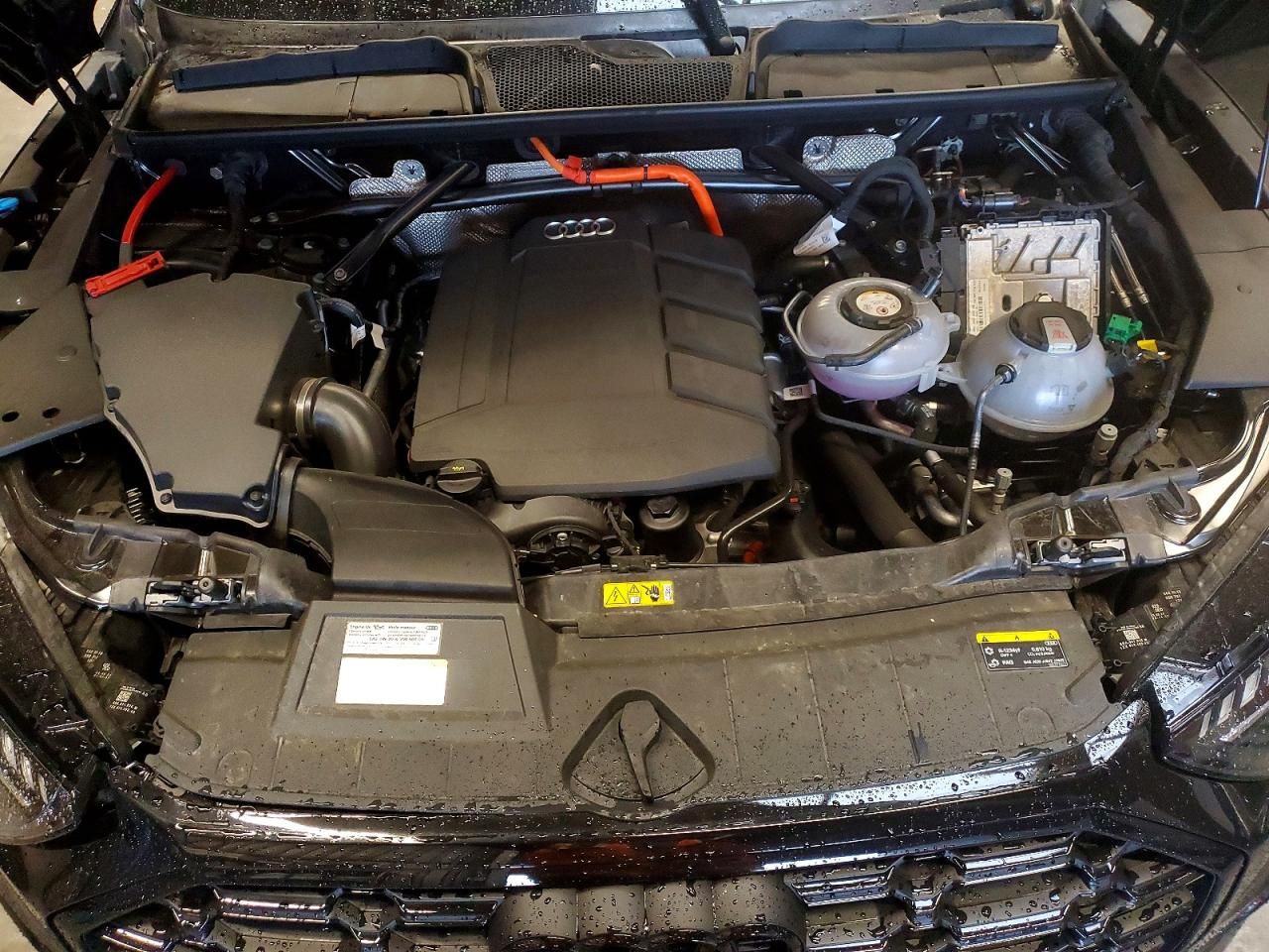 2025 Audi Q5 e Prestige 55