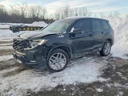 2025 Honda Passport exl en venta en Marlboro, NY