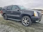 2013 Cadillac Escalade Luxury