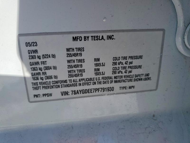 2023 Tesla Model y