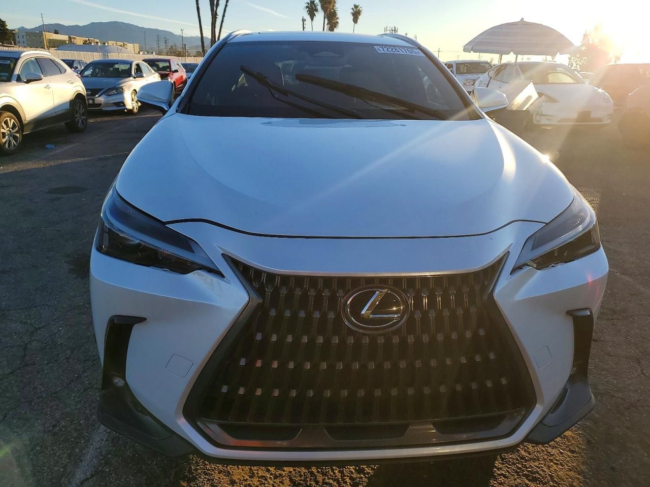2024 Lexus Nx 350h Base