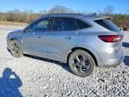 2024 Ford Escape st Line